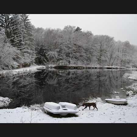 Cabane Limousine Au Bord D'Un Etang Bonnac-la-Cote ภายนอก รูปภาพ