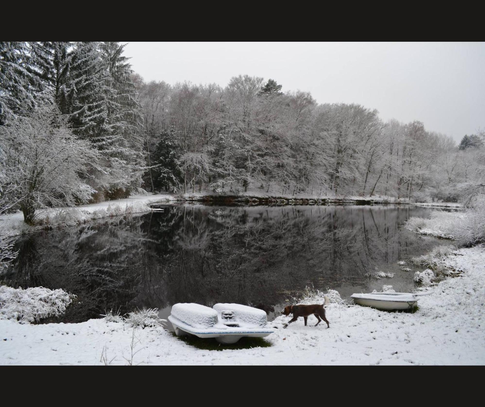 Cabane Limousine Au Bord D'Un Etang Bonnac-la-Cote ภายนอก รูปภาพ