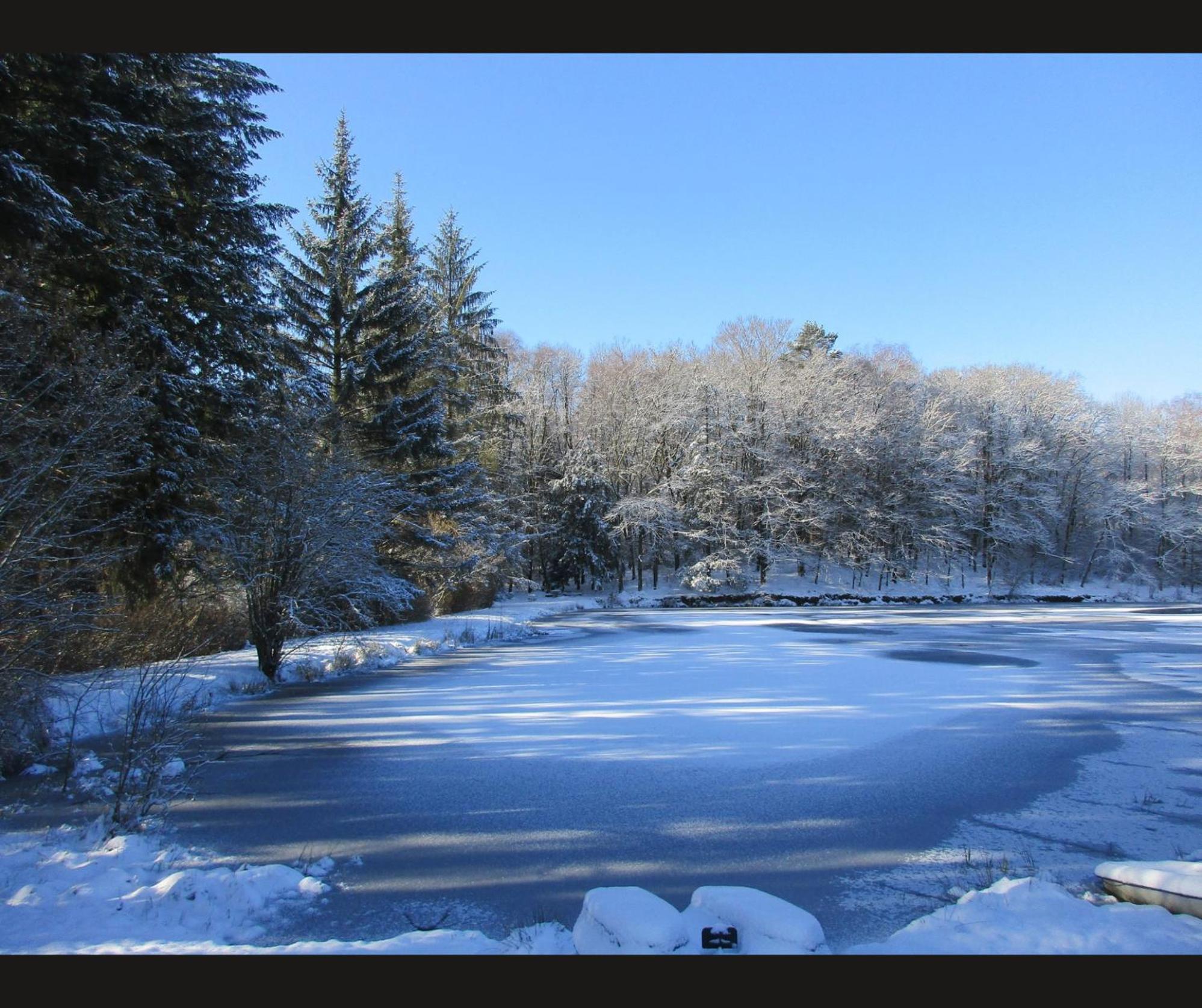 Cabane Limousine Au Bord D'Un Etang Bonnac-la-Cote ภายนอก รูปภาพ